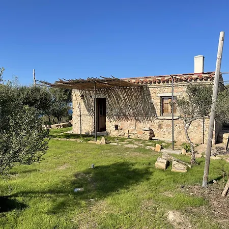 La Collinetta Sul Mare